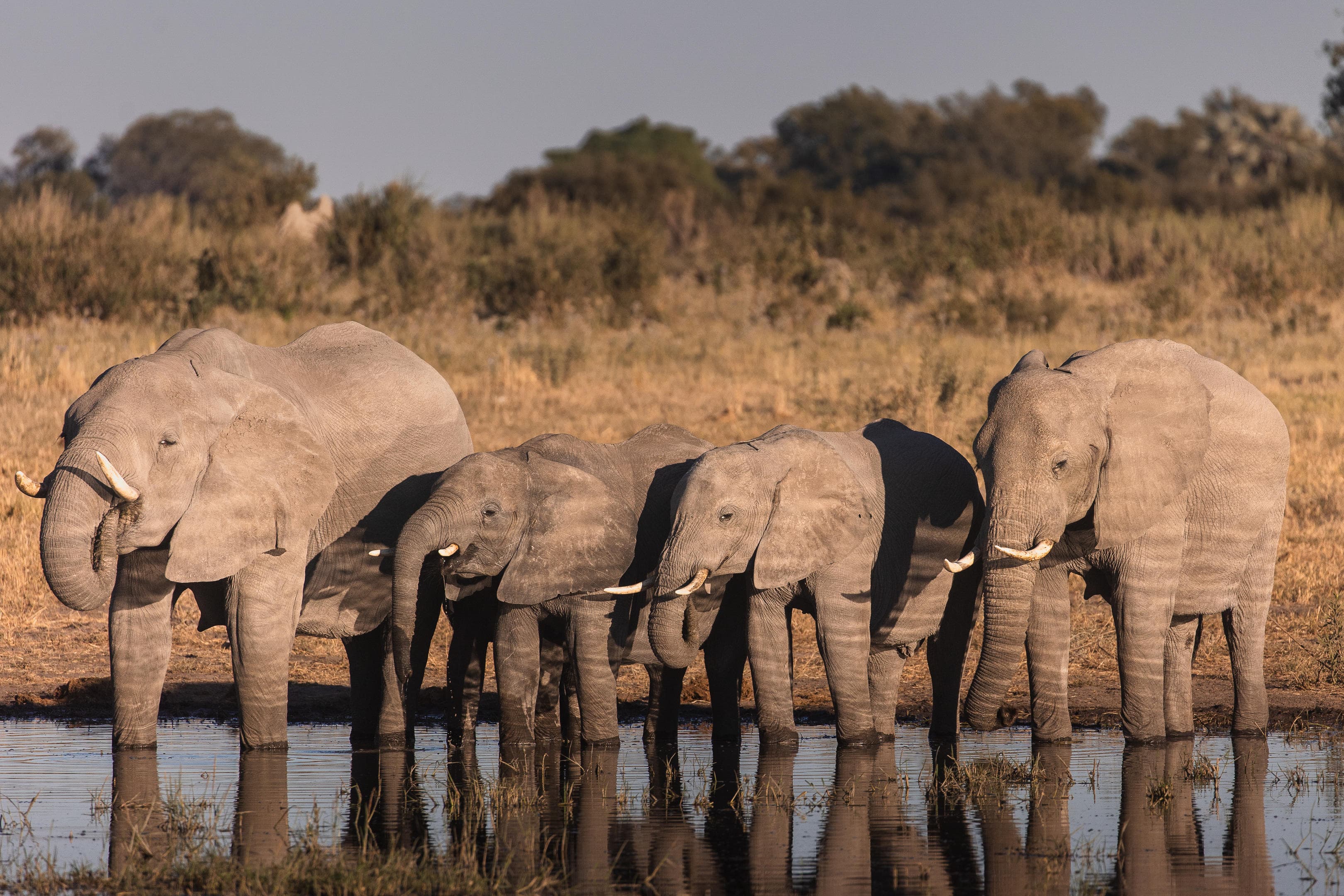 Botswana